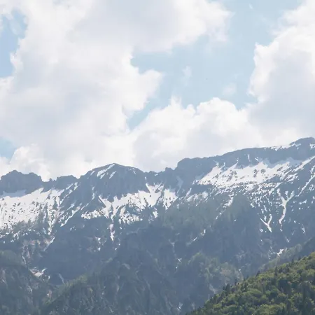 Birkenhof * Гросгмайн