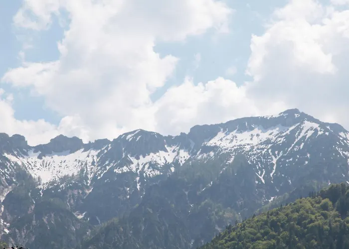 Birkenhof * גרוסגמיין